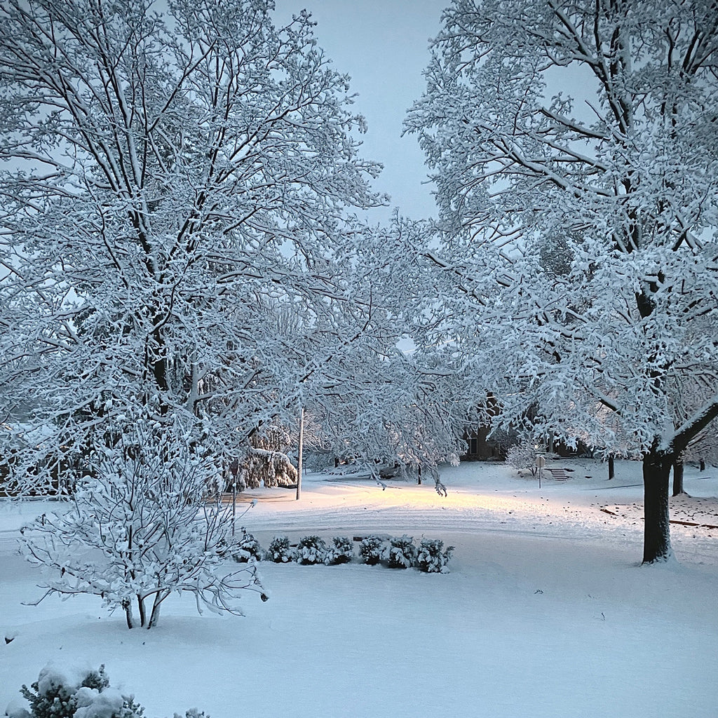 What's the difference between astronomical and meteorological winter?